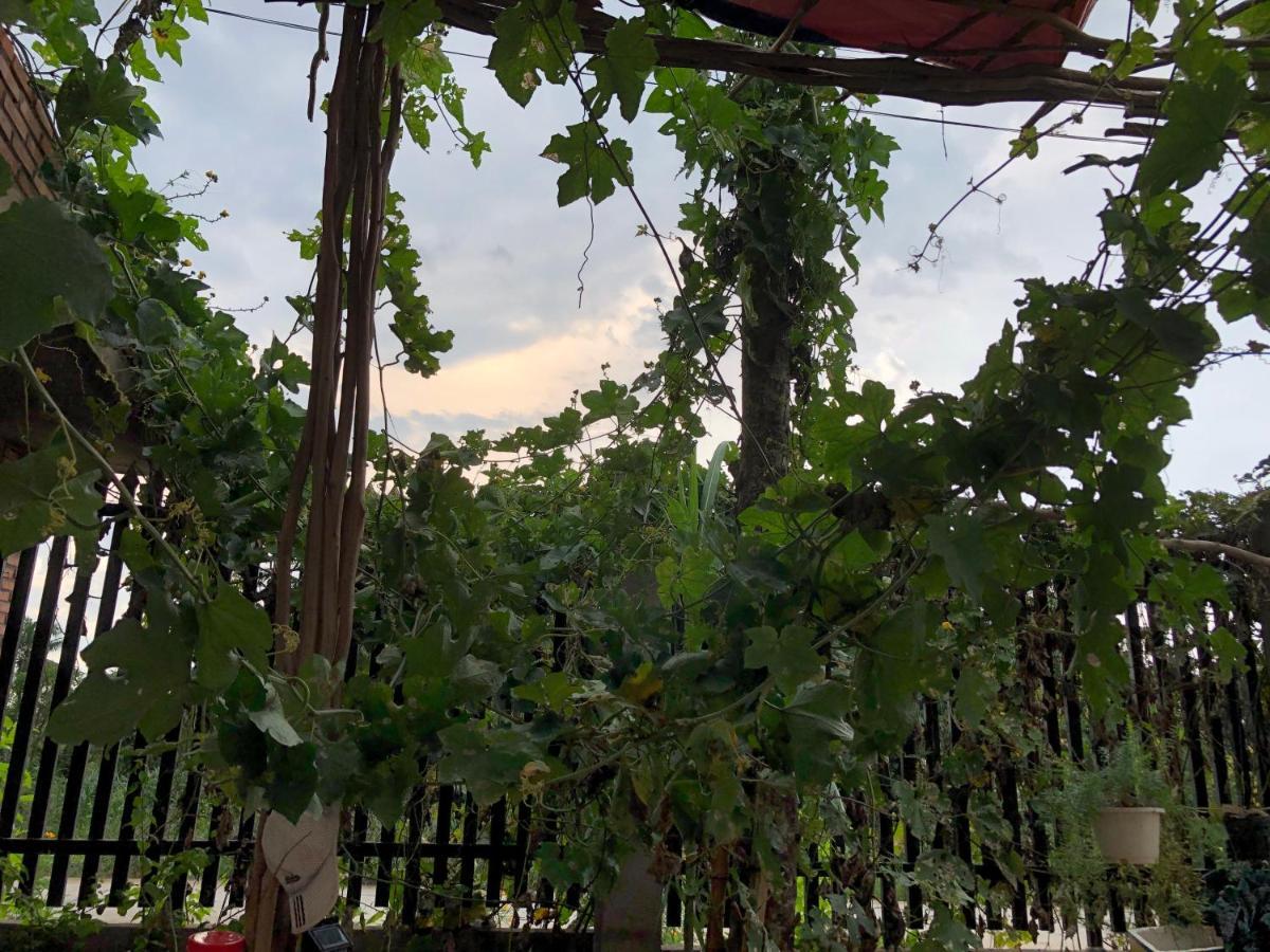 Bầu Bí Mini Farmstay Mekong - Tiền Giang Mỹ Tho Exterior foto